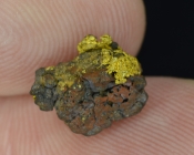 1.10 Gram California Gold & Hematite 